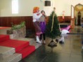 /album/galeria-de-fotos/pa240794-jpg/